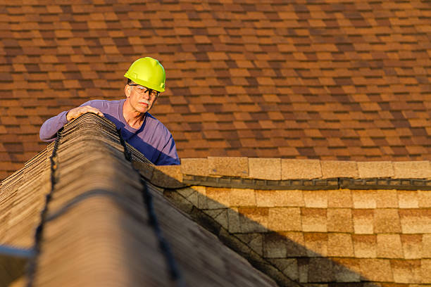 Best Metal Roofing Contractor  in Parkwood, WA