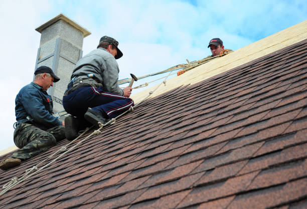 Best Roof Repair Services  in Parkwood, WA
